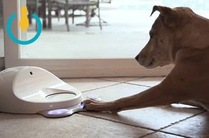 Finally, a video game console for dogs