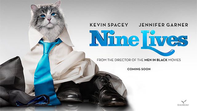 Latest NINE LIVES feature shows off famous internet cats