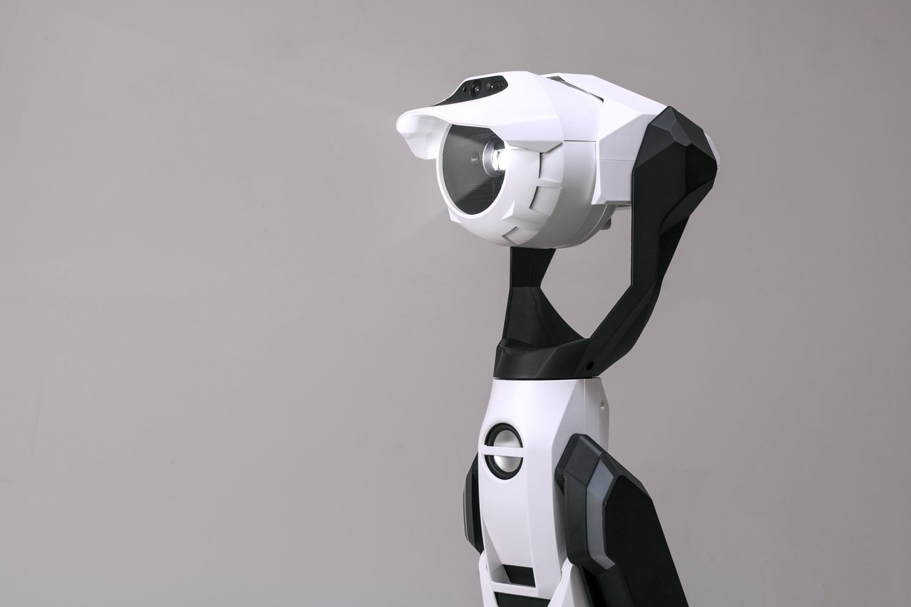 Tipron Projector Robot
