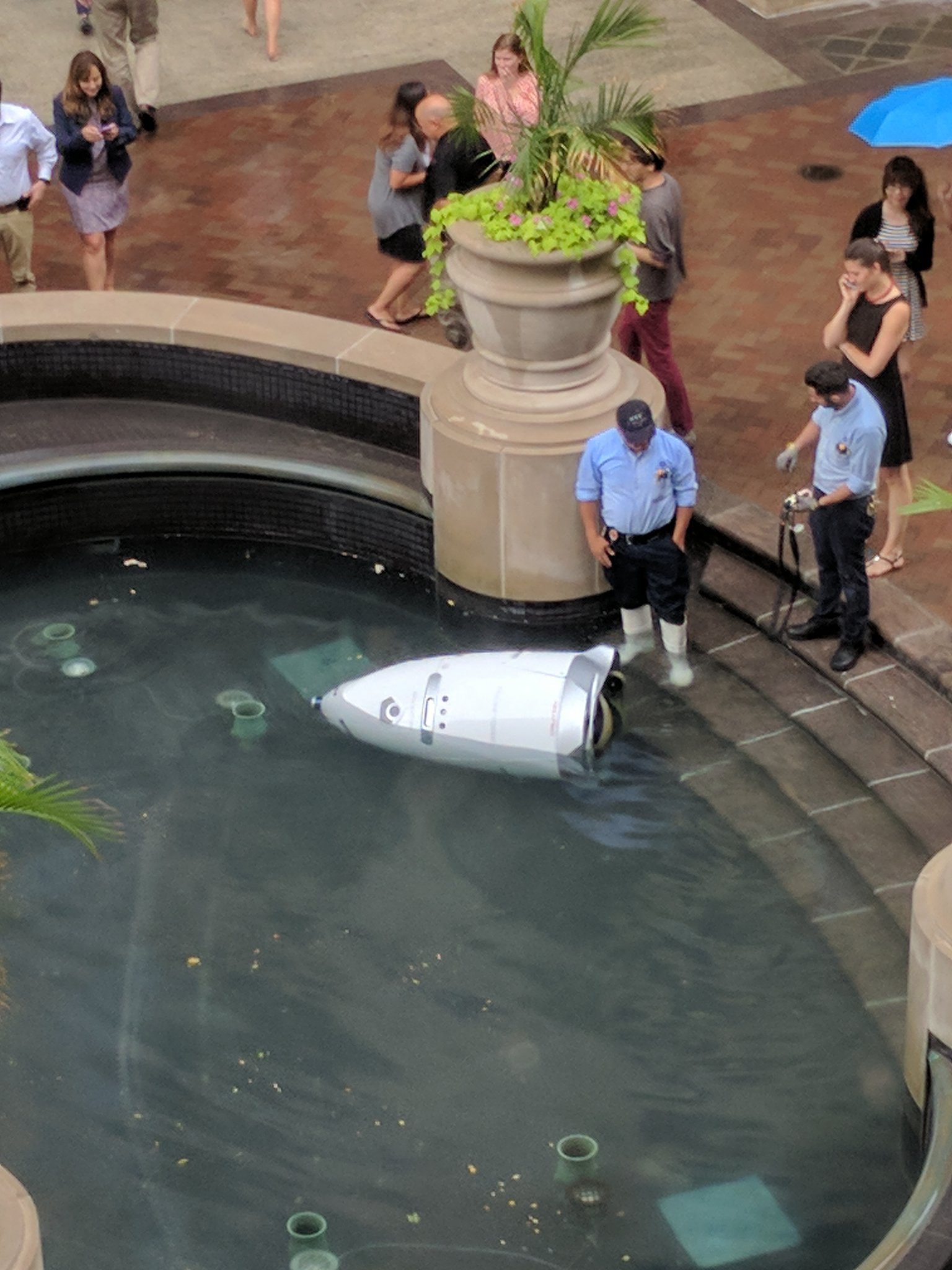 D.C. Office Building Security Robot Commits Suicide