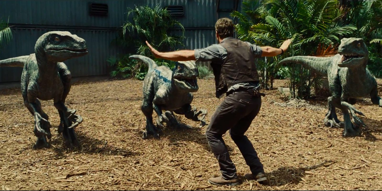 What Would Be Your Job In Jurassic World?