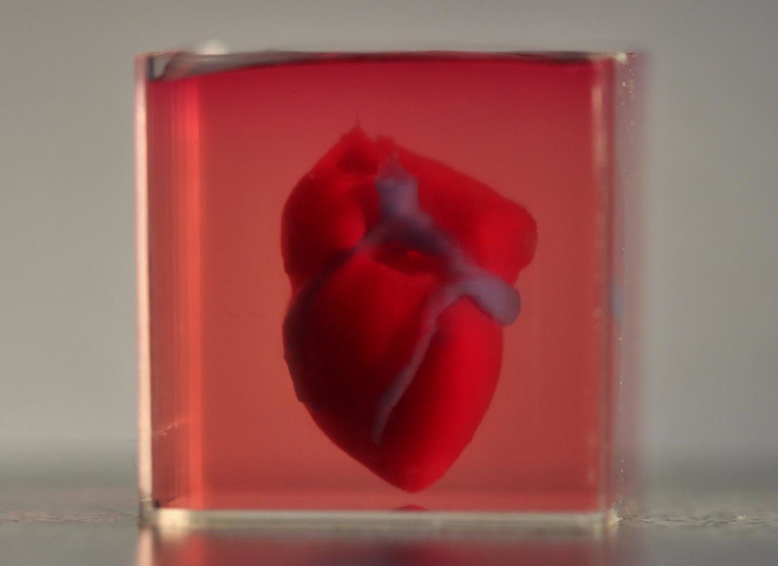 Scientist 3D Print Heart Using Patient’s Cells