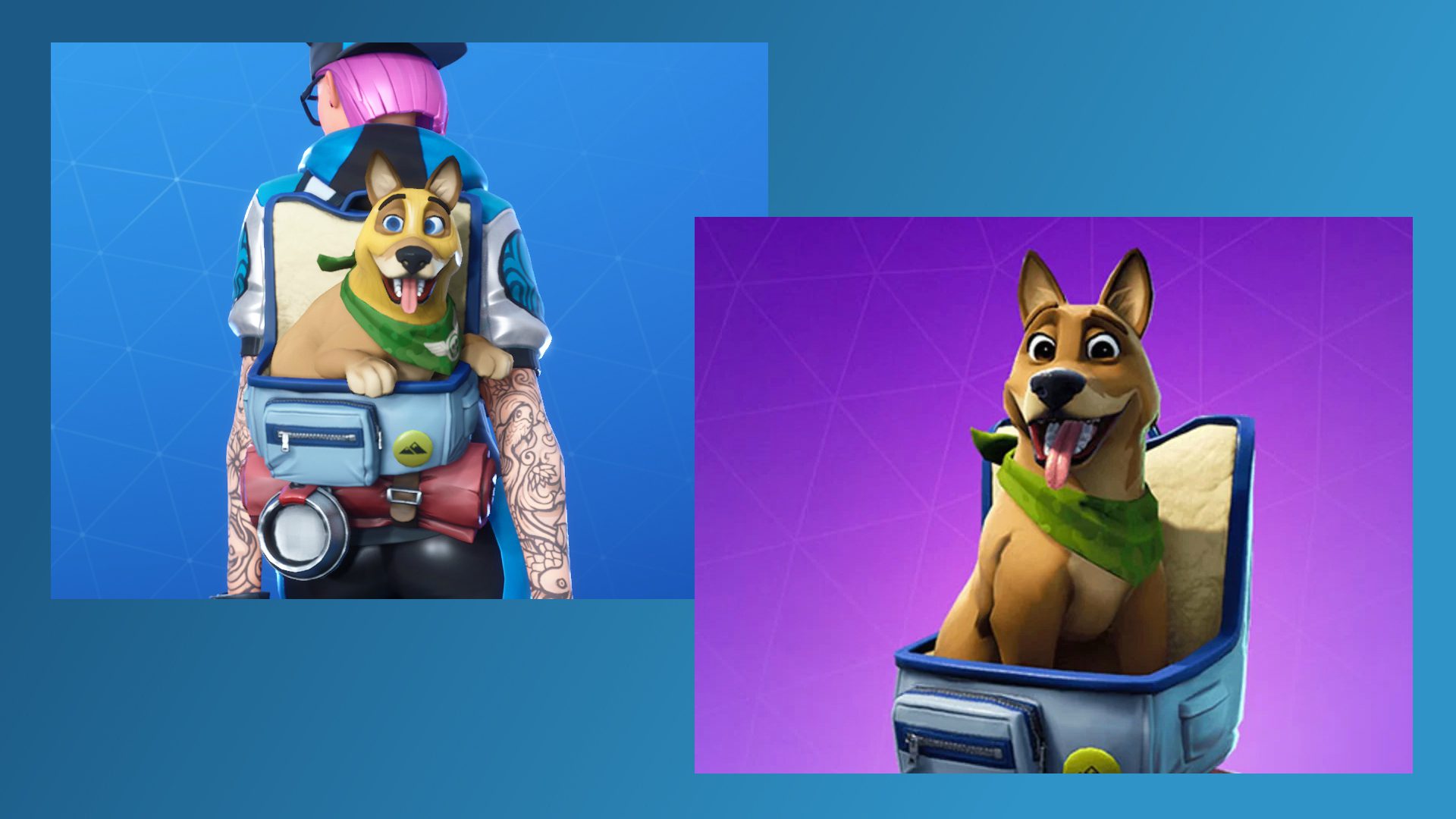 Fortnite Busted For Selling Old Dog As New Dog