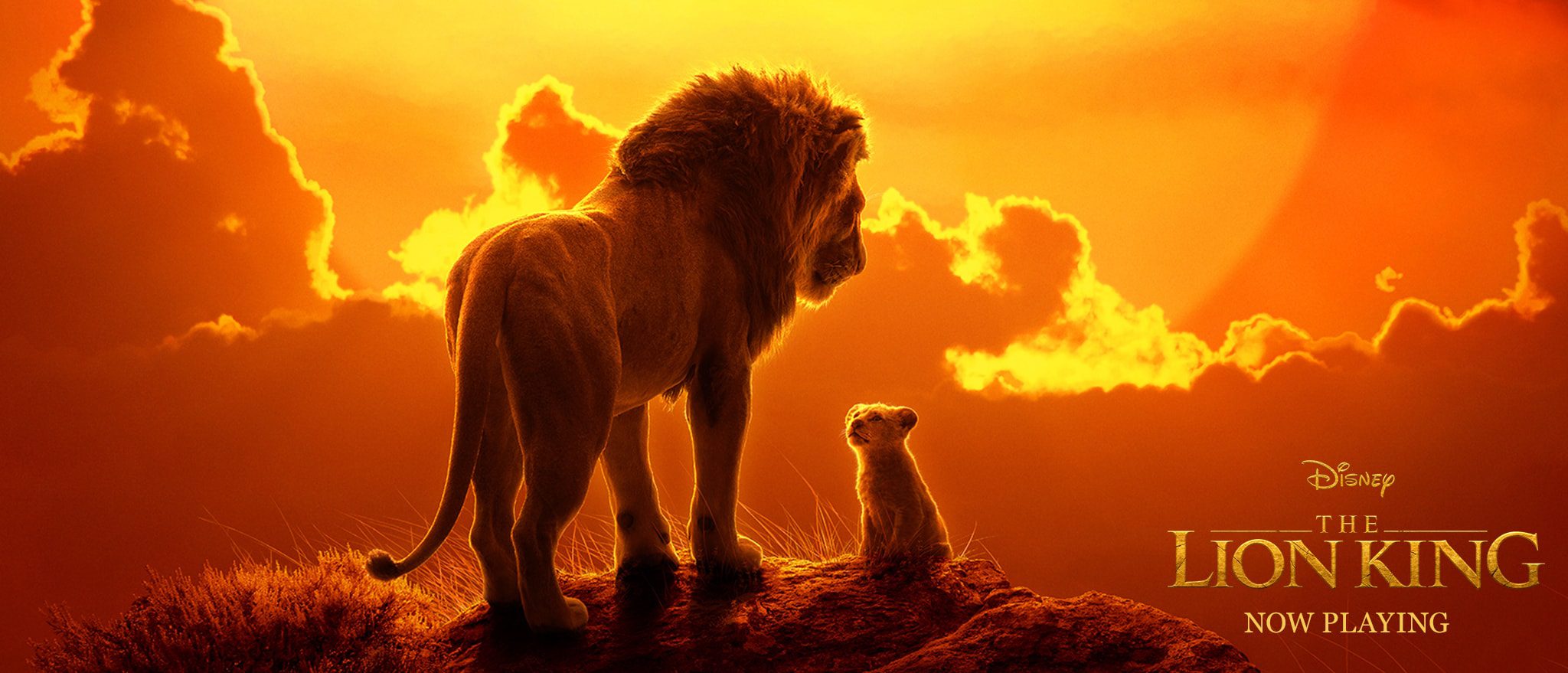 Which Lion King Character Are You?