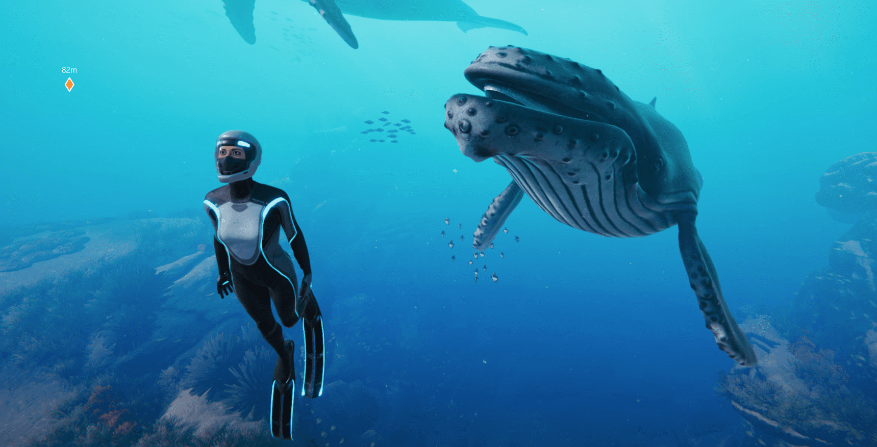 Beyond Blue lets you hang out with whales