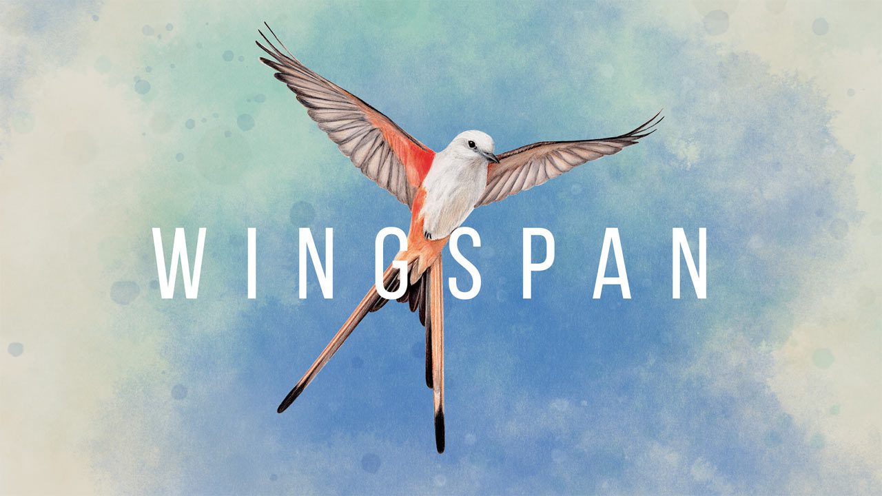 Build Your Bird Reserve In Acclaimed Strategy Card Game ‘Wingspan’