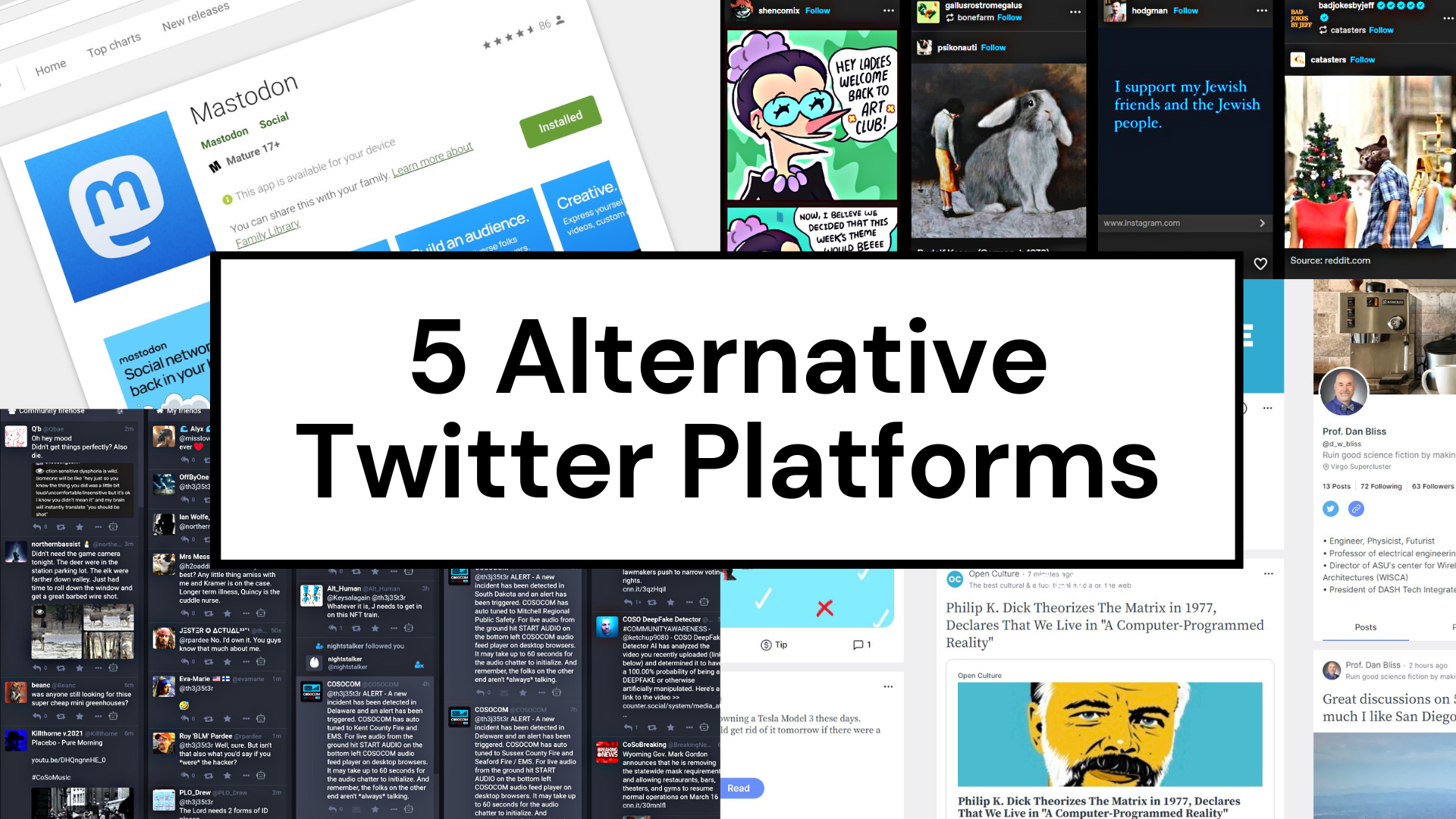 5 Twitter Alternatives To Check Out